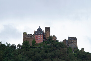 Fototapeta na wymiar Croisière sur le Rhin romantique, au pays des châteaux