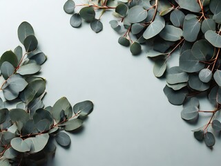 Eucalyptus branches on green background, flat lay. Space for text - 771758309