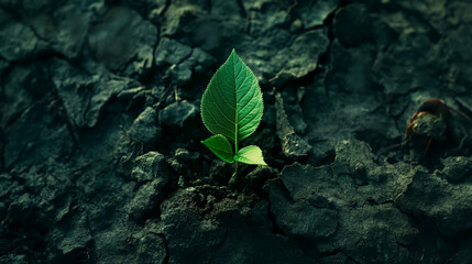 Green sprout emerging from cracked earth symbolizing hope, renewal amidst adversity, perfect for environmental conservation themes, illustrating power of life - obrazy, fototapety, plakaty