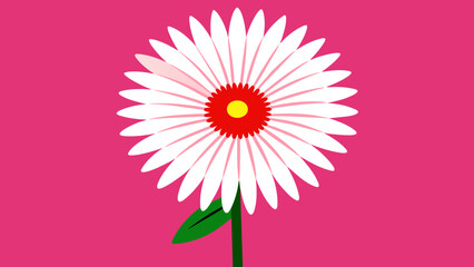 Discover Stunning Gerbera Daisy Vector Graphics Perfect for Your Design Projects