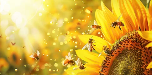 Zelfklevend Fotobehang Close-up of a bee collecting honey from a blooming yellow sunflower. Preparation of natural honey. Sunflower and bee as a symbol of summer, health. AI generated illustration © Or