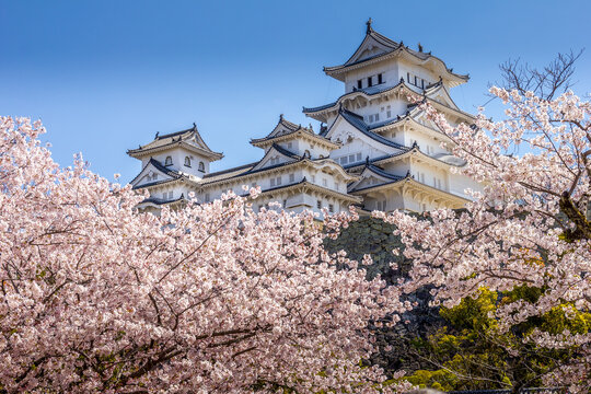 Osaka Castle Images – Browse 30,218 Stock Photos, Vectors