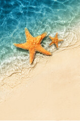 Starfish on the summer beach in sea water. Summer background. - 771770143