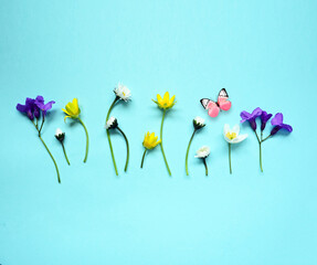 Set with beautiful meadow flowers on blue background. - 771771382