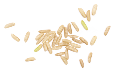 Fresh long brown rice, uncooked and hulled, isolated on white, top view