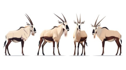 Cute photo realistic animal oryx set collection. Isolated on white background