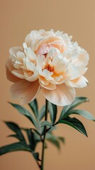 White and Orange Flower With Green Leaves