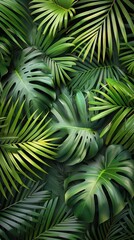 Close-Up of Palm Leaves