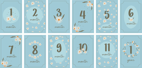 Monthly milestone anniversary cards for baby. Set of vintage vector kids congratulation postcards with numbers and daisies for a newborn. Print baby shower template.