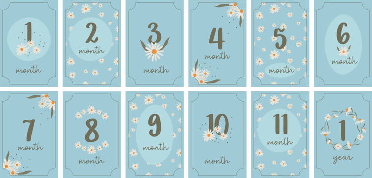 Monthly milestone anniversary cards for baby. Set of vintage vector kids congratulation postcards with numbers and daisies for a newborn. Print baby shower template.