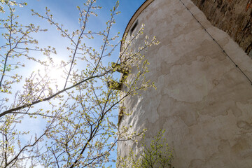 Burgwasserturm in Bautzen- A Historical Castle Water Tower