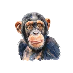 Poster Crâne aquarelle chimpanzee head vector illustration in watercolour style