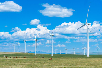 Wind turbines in a summer farm field in Alberta Canada under blue skies