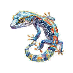 gecko vector illustration in watercolour style
