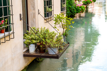Quaint Waterfront Planters in Treviso, Northern Italy - obrazy, fototapety, plakaty