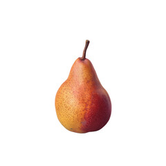 A pear, a fruit from a tree, with a long stem against a transparent background