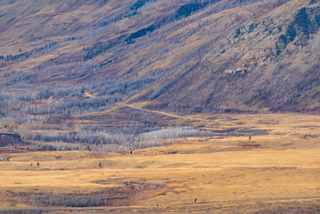 Waterton National Park