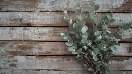 Subtle elegance portrayed through eucalyptus branches on a rustic backdrop, a harmonious blend of simplicity and beauty.