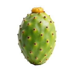 Prickly pear, isolated on transparent background.