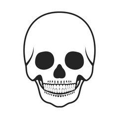 Obraz premium 頭蓋骨。フラットなベクターイラスト。 Skull. Flat vector illustration.