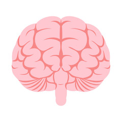 ヒトの脳（正面）。フラットなベクターイラスト。
Human brain (front). Flat vector illustration.