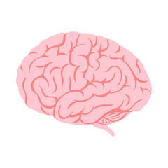 ヒトの脳（横向き）。フラットなベクターイラスト。
Human brain (sideways). Flat vector illustration.