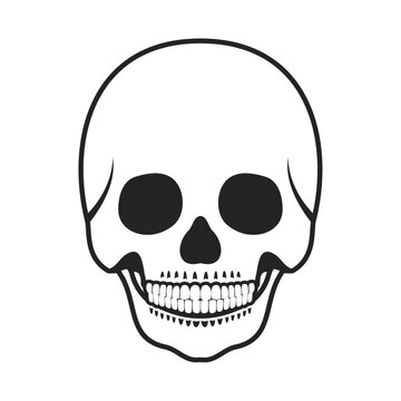 頭蓋骨。フラットなベクターイラスト。
Skull. Flat vector illustration.