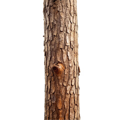 Naklejka premium Tree trunk isolated on transparent background.