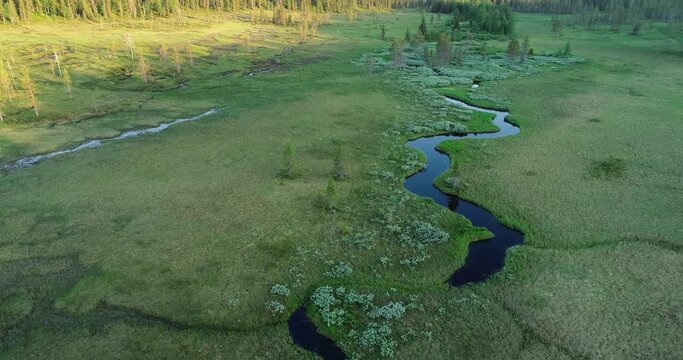 Movement above a summery flooded meadow in Riisitunturi National Park, Northern Finland