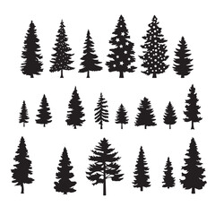 Obraz premium Pine silhouette, Christmas tree silhouette