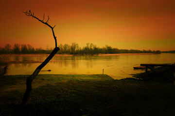 That branch on the Po river, Bassignana, Alessandria, Piedmont, Italy