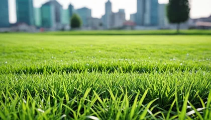 Cercles muraux Destinations Cityscape with green lawn outdoors. City Park. Green background with copy space.