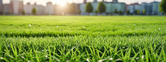  Cityscape with green lawn outdoors. City Park. Green background with copy space. © 360VP