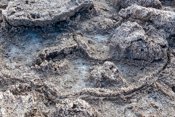 Detail of the salt formations on the ground at Devil's Golf Course in Death Valley National Park, California, USA