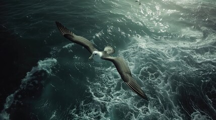 A curious albatross gliding effortlessly over the vast expanse of the open ocean, wings outstretched. - Powered by Adobe