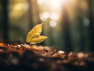 Out-of-focus leaf bokeh in forest scenery.