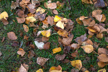 Autumn view of South Park in city of Sofia, Bulgaria