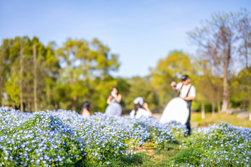 Blurred dreamy background of tourists taking photos among flowers