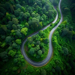 aerial view of the road