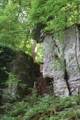 RIBE, DOMKIRKE, EUROPA, DINAMARCA