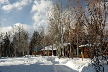 Cabins in the winter; Grand Teton NP; Wyoming - 771849713