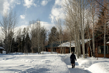 Cabins in the winter; Grand Teton NP; Wyoming - 771849718
