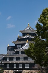 岡山城