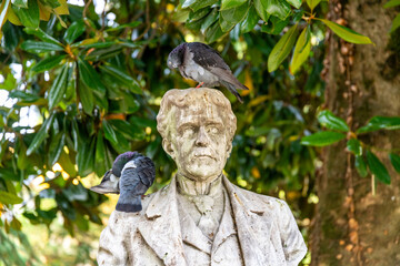 Birds Perching on Sculpted Bust in Salvi Garden, Vicenza