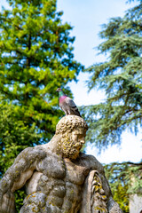 Pigeon Perched on Ancient Sculpture in Giardino Salvi, Vicenza