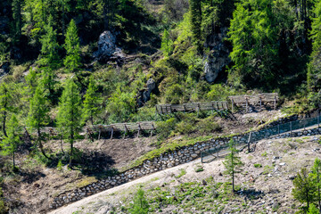 Traditional Snow Fences in the Austrian Alpine Forest Landscape