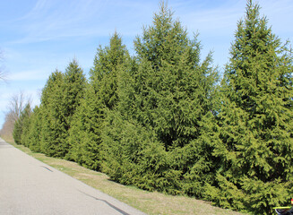 Your breath fills you with energy, anywhere and anytime you need it.