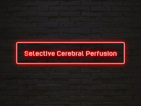 selective cerebral perfusion のネオン文字