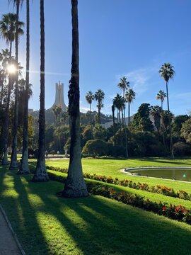 Jardin d'essai d'Alger vue sur le makam chahid 