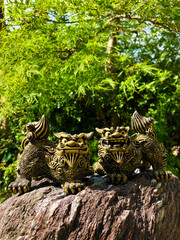 Fototapete bei efototapeten.de bestellen   